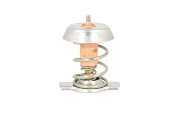 Termostat, chladivo THERMOTEC D2X002TT Termostat, chladivo THERMOTEC D2X002TT