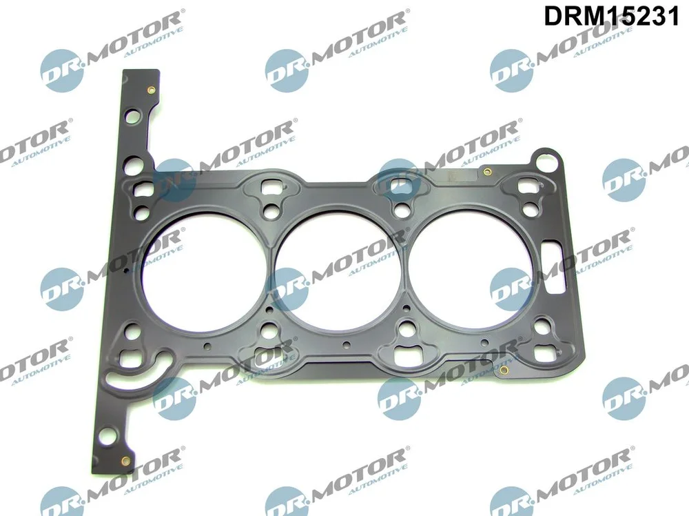 Těsnění, hlava válce Dr.Motor Automotive DRM15231 – OE 5607058