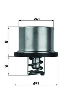 Termostat, chladivo MAHLE THD171