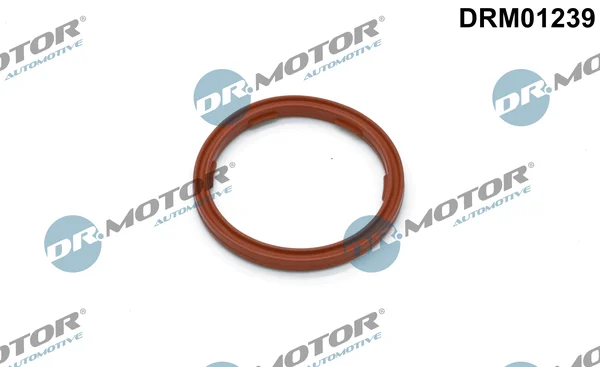 Těsnicí kroužek, olejová vypouštěcí zátka Dr.Motor Automotive DRM01239