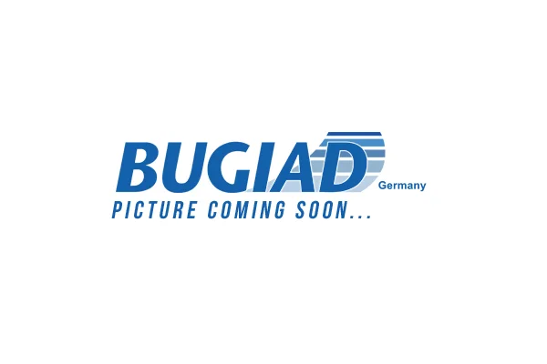 Hadička plnicího vzduchu BUGIAD 82393