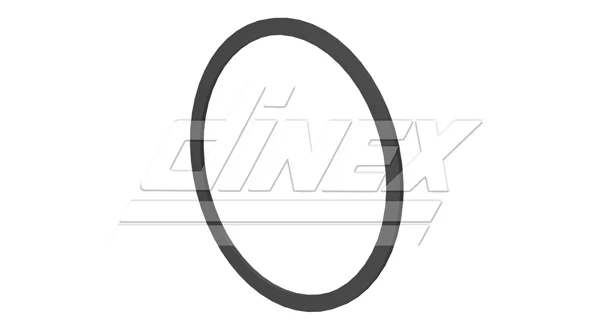 Těsnění, výfuková trubka DINEX 6LL006