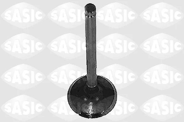 Výfukový ventil SASIC 4000961