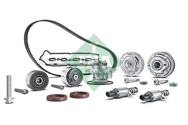 Sada pro seřízení vačkového hřídele Schaeffler INA 560000110